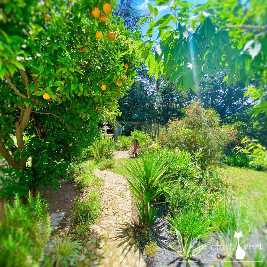 Le Chat Vert - Appartements Adults Only Saint-Andre  ภายนอก รูปภาพ