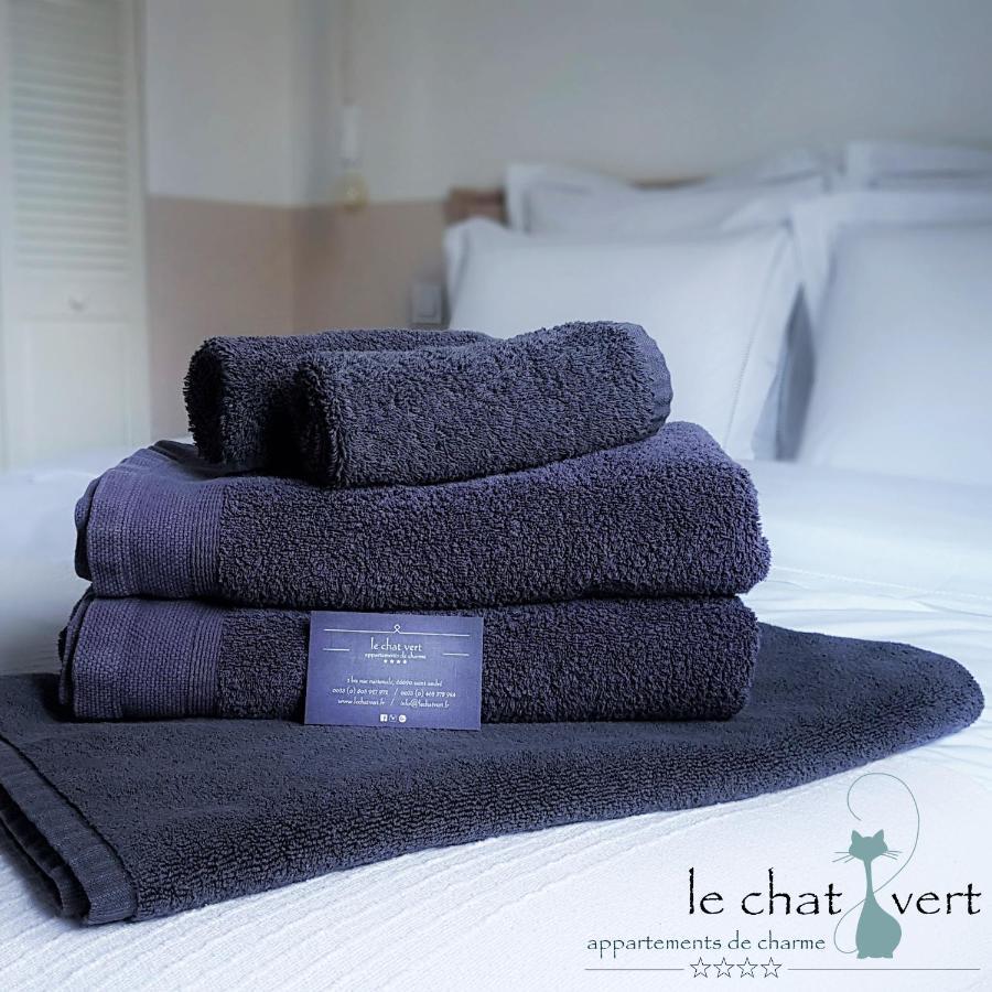 Le Chat Vert - Appartements Adults Only Saint-Andre  ภายนอก รูปภาพ